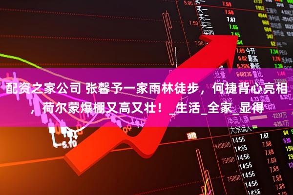 配资之家公司 张馨予一家雨林徒步，何捷背心亮相，荷尔蒙爆棚又高又壮！_生活_全家_显得