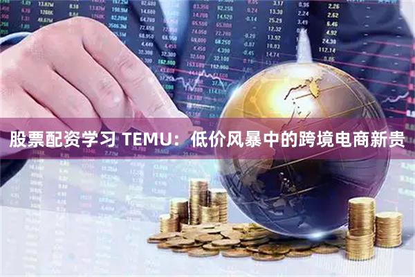 股票配资学习 TEMU：低价风暴中的跨境电商新贵